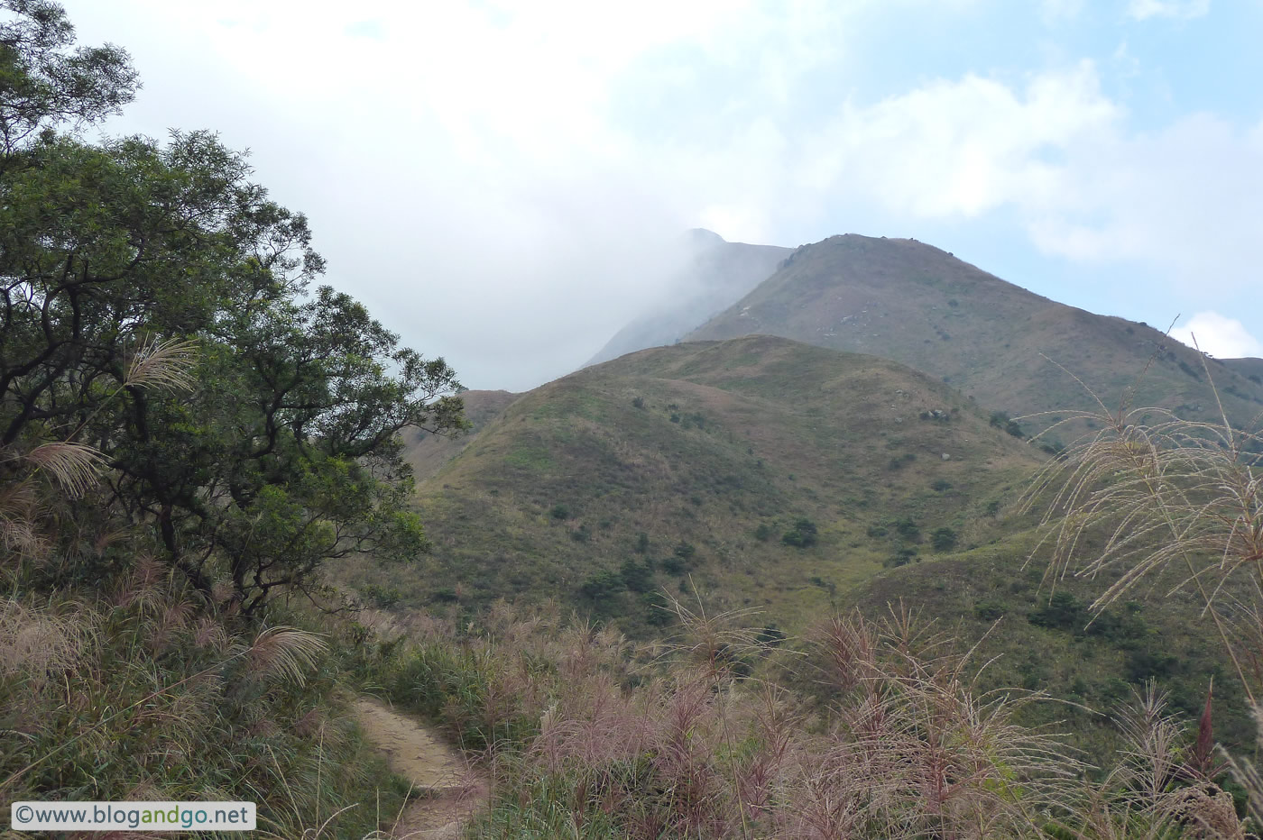 Lantau Trail - The phoenix